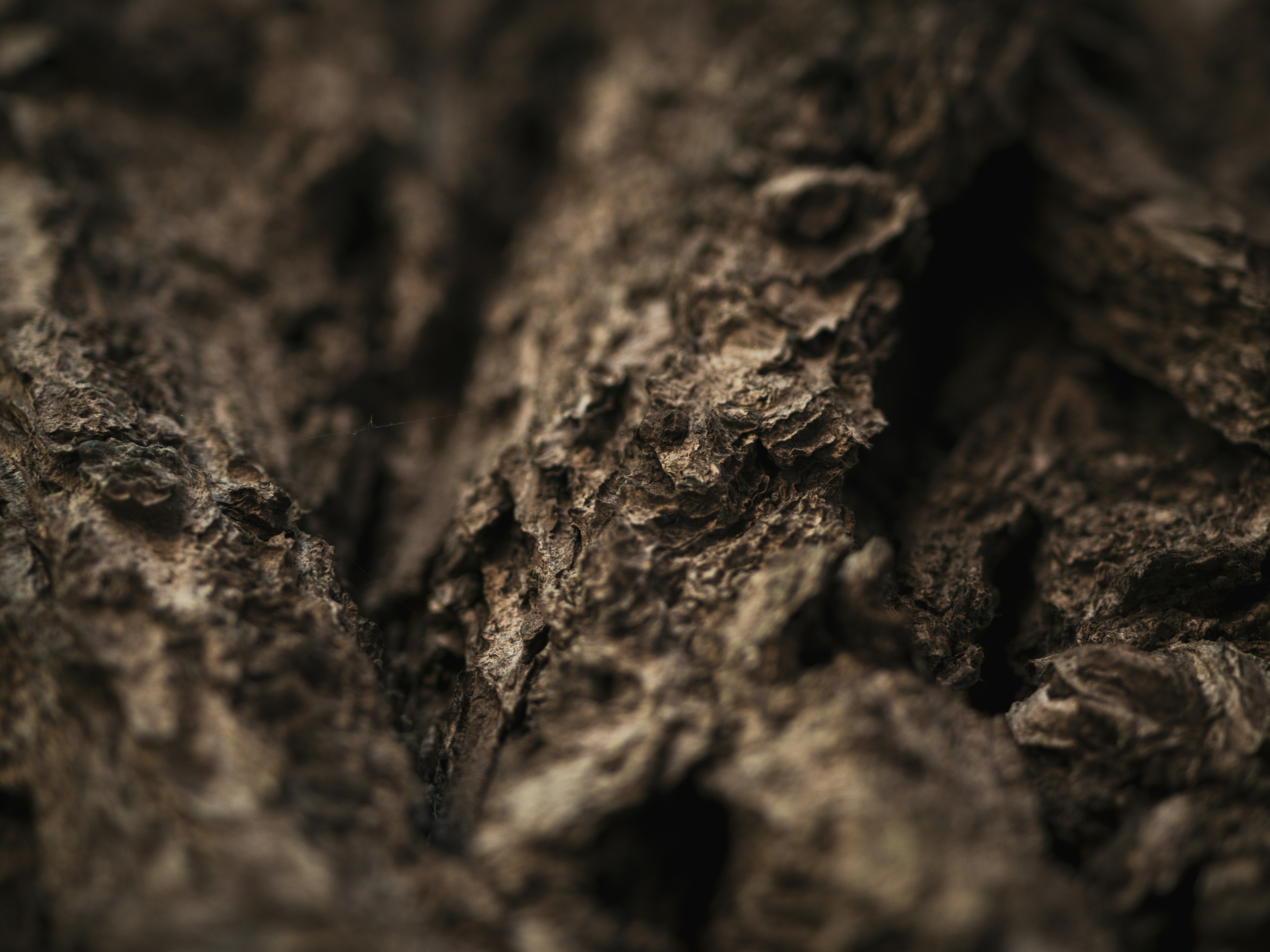 Photo by janifreelancing