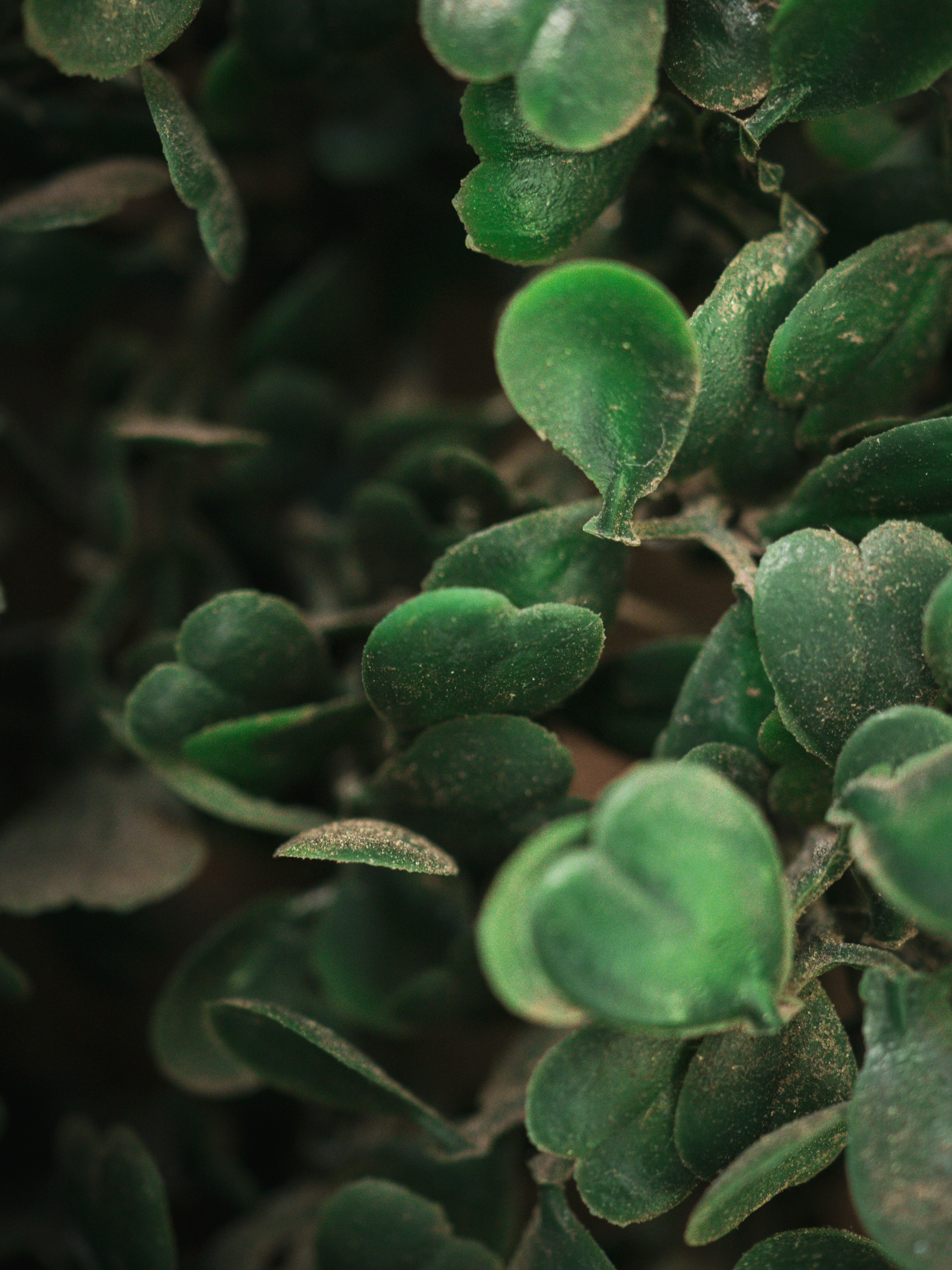 Photo by janifreelancing