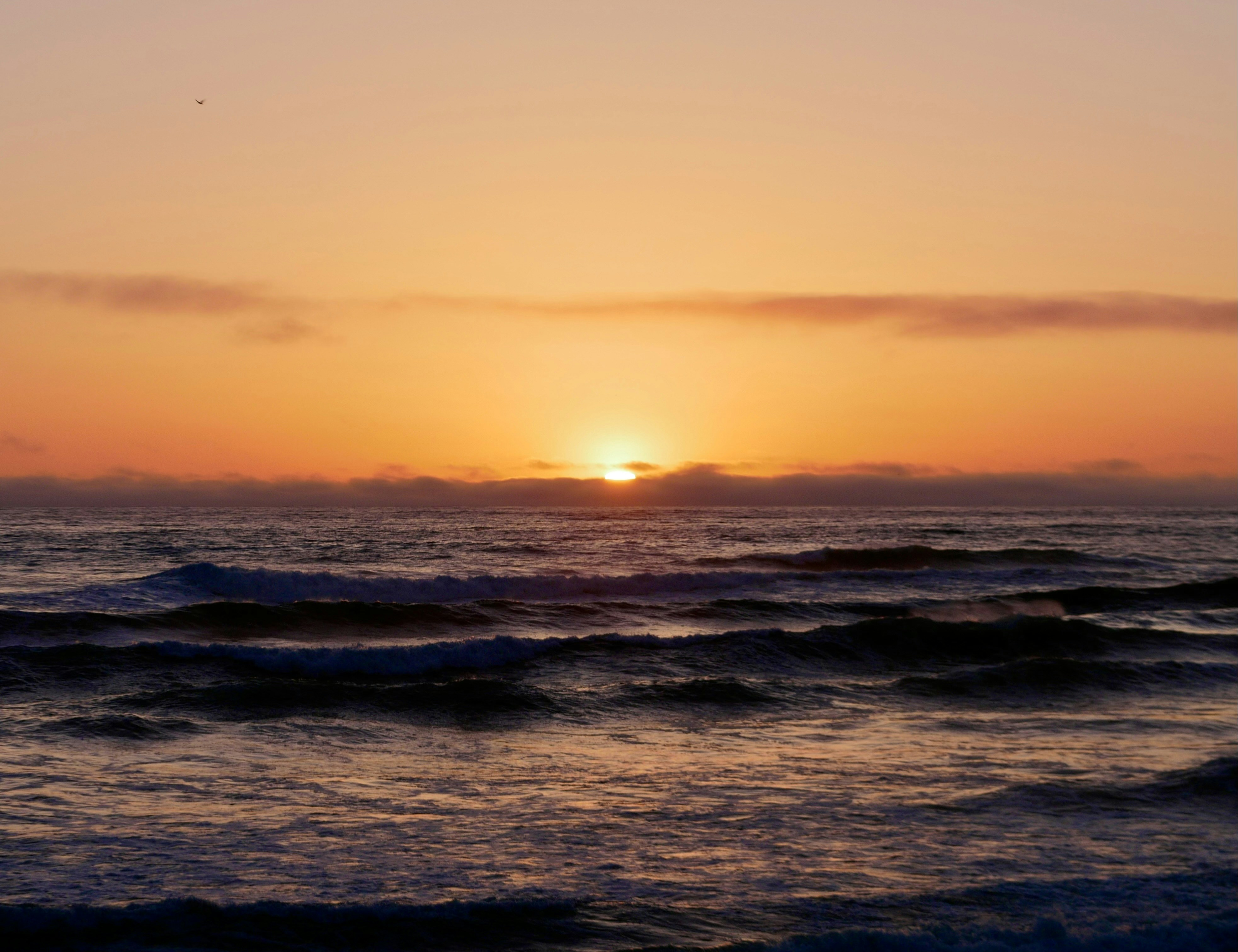 Photo by jingning99218