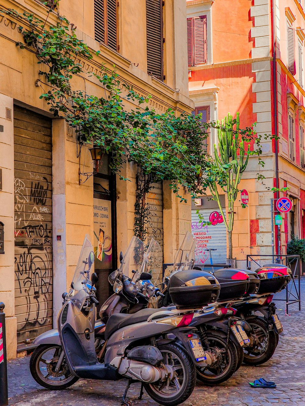 a row of motorcycles parked in front of a building