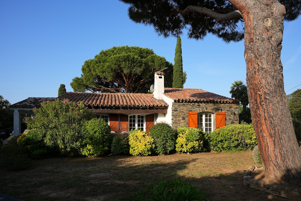 a house with red shutters and a tree in front of it