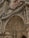 An ornate, intricately detailed stone facade featuring classical architectural elements. The surface is adorned with elaborate carvings, including columns, arches, and detailed relief sculptures depicting historical or religious figures. The craftsmanship displays a high level of artistry with numerous decorative motifs and patterns.