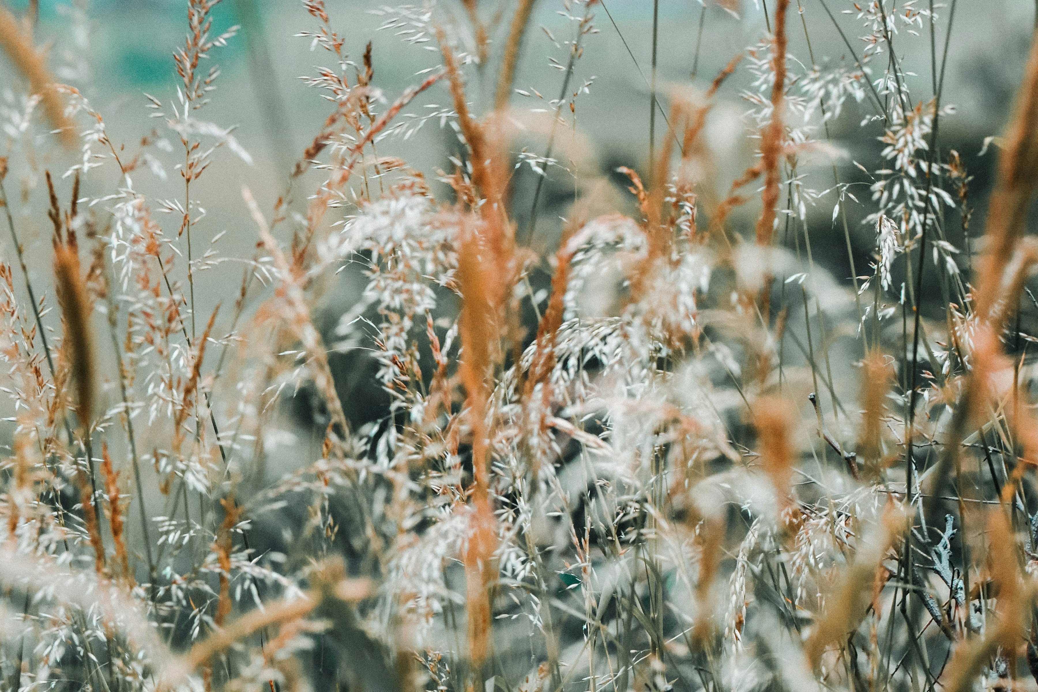 Photo by leotrimfetahu