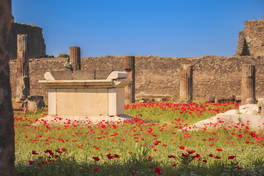 a field full of red flowers next to a stone building