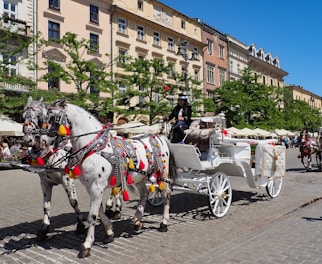 Tours Express y privados en Cracovia: Centro Histórico, Leyendas Judías y Cracovia Macabra