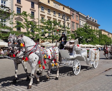 Tours Express y privados en Cracovia: Centro Histórico, Leyendas Judías y Cracovia Macabra
