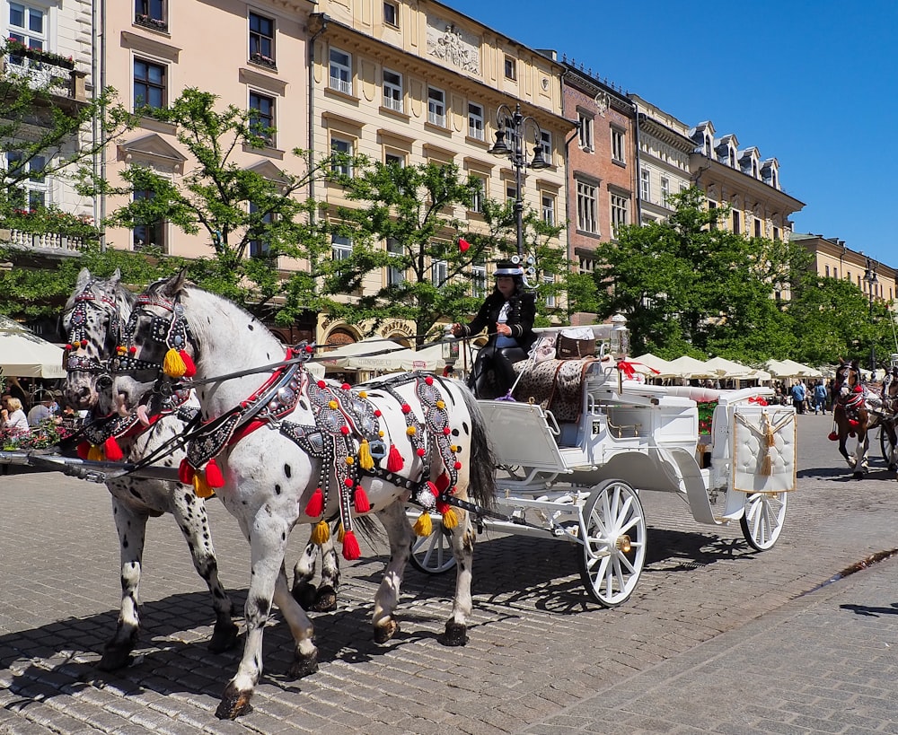 a white horse pulling a white carriage down a street