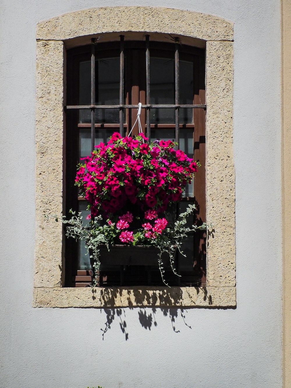 a window with a planter filled with pink flowers