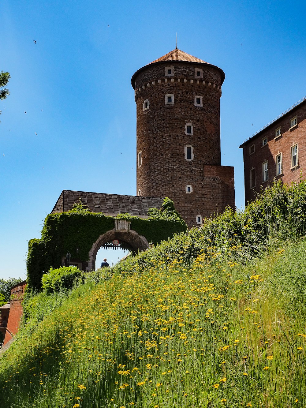 a tall brick tower sitting on top of a lush green hillside