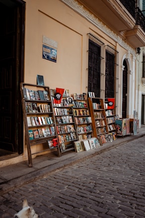 A narrow cobblestone street is lined with wooden racks displaying a variety of books and magazines. The racks are positioned against a light beige wall, with barred windows above them. A sign and posters add character to the scene. A small portion of a dog can be seen in the bottom left corner, enhancing the street market atmosphere.