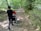 A father navigating a baby stroller over a rocky trail surrounded by trees.