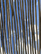 Concrete poles lined up at a construction site under a clear blue sky.