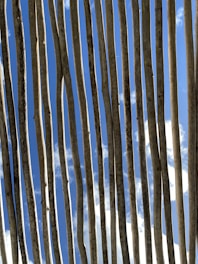 Wooden poles are vertically aligned with a background of a clear blue sky and scattered clouds.