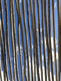 Concrete poles lined up at a construction site under a clear blue sky.