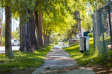 A serene green corridor connecting two urban areas with diverse vegetation.