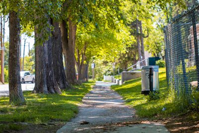 A serene green corridor connecting two urban areas with diverse vegetation.
