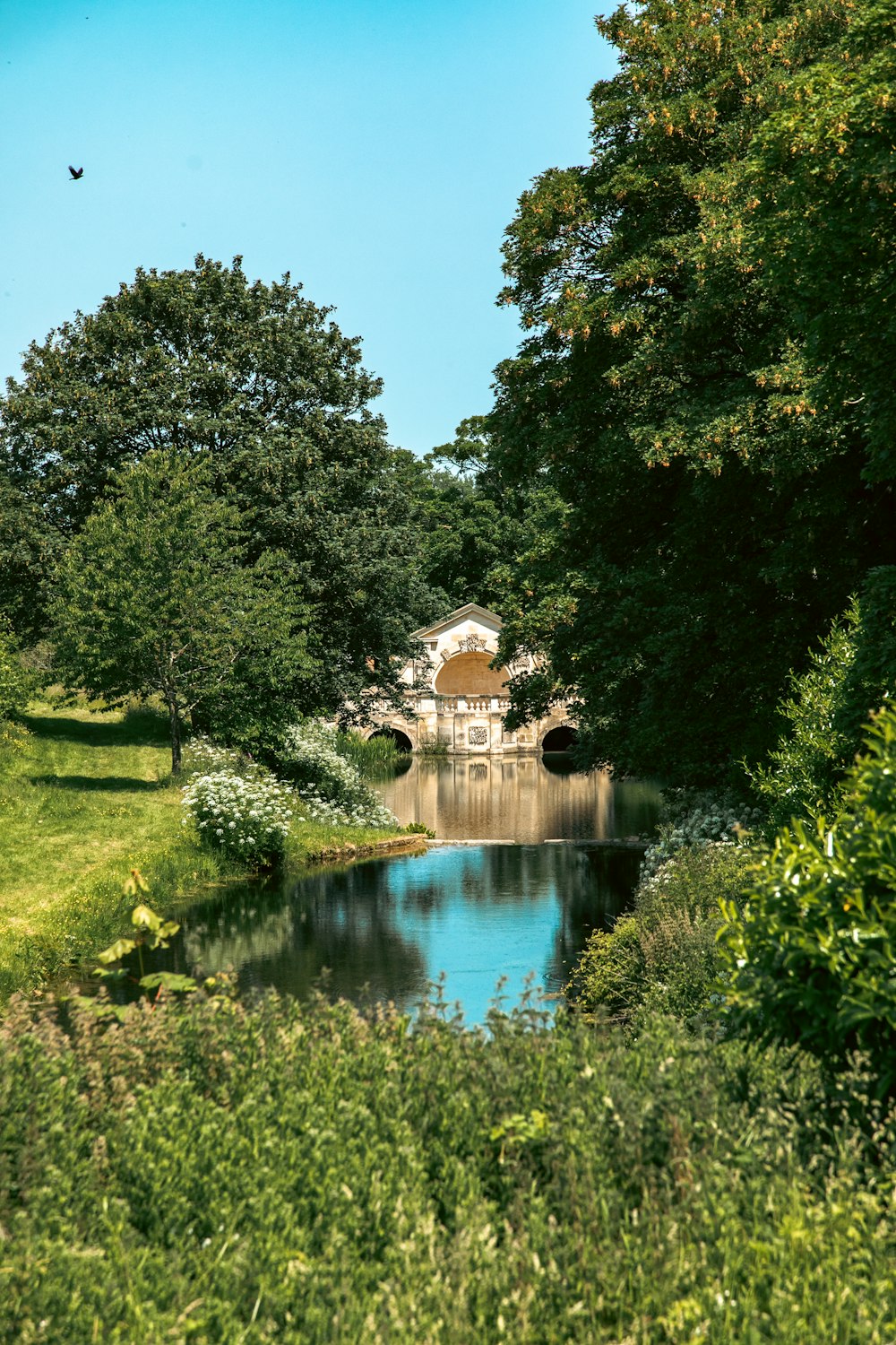 a small lake surrounded by trees and bushes