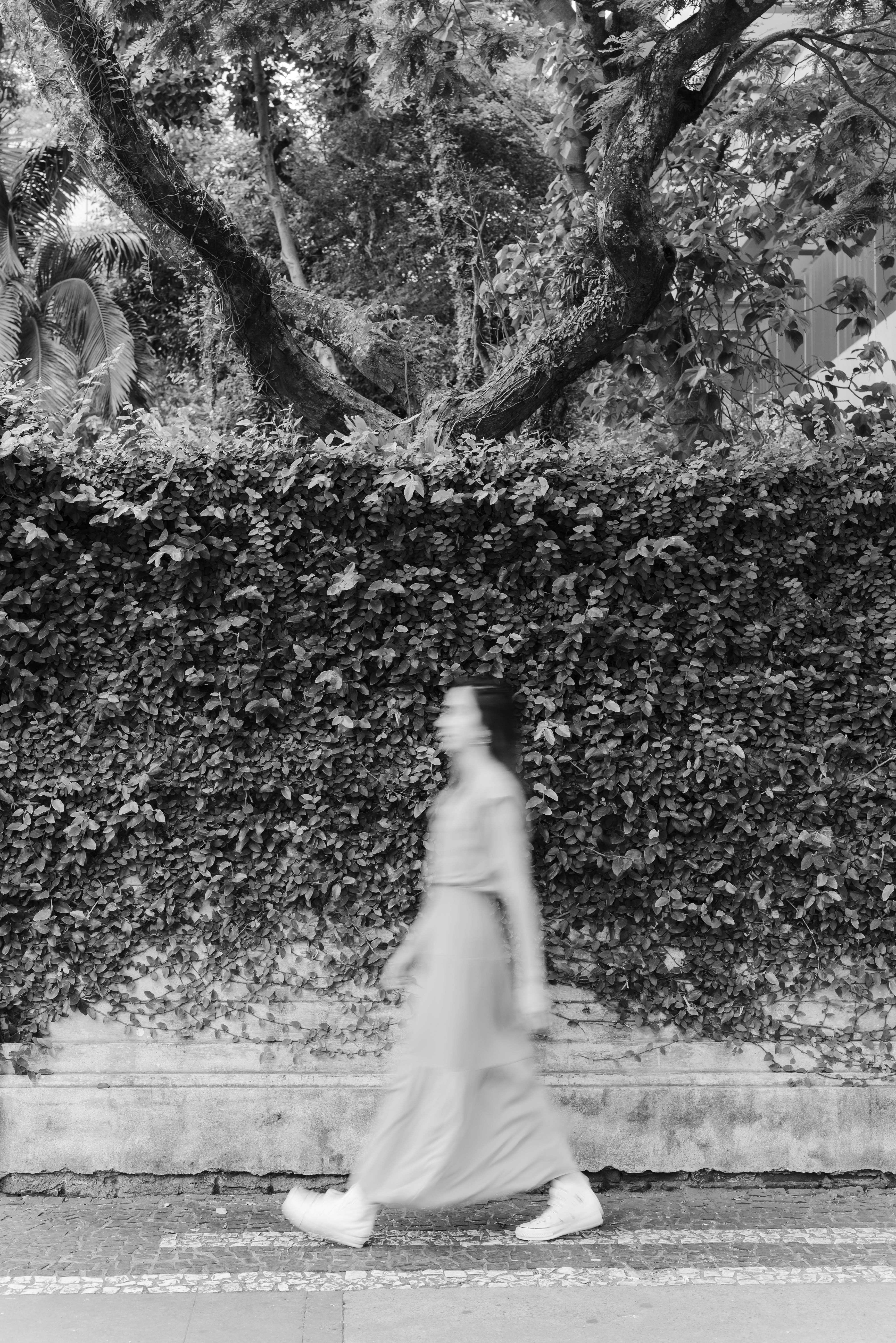 Photo by carolineattilio