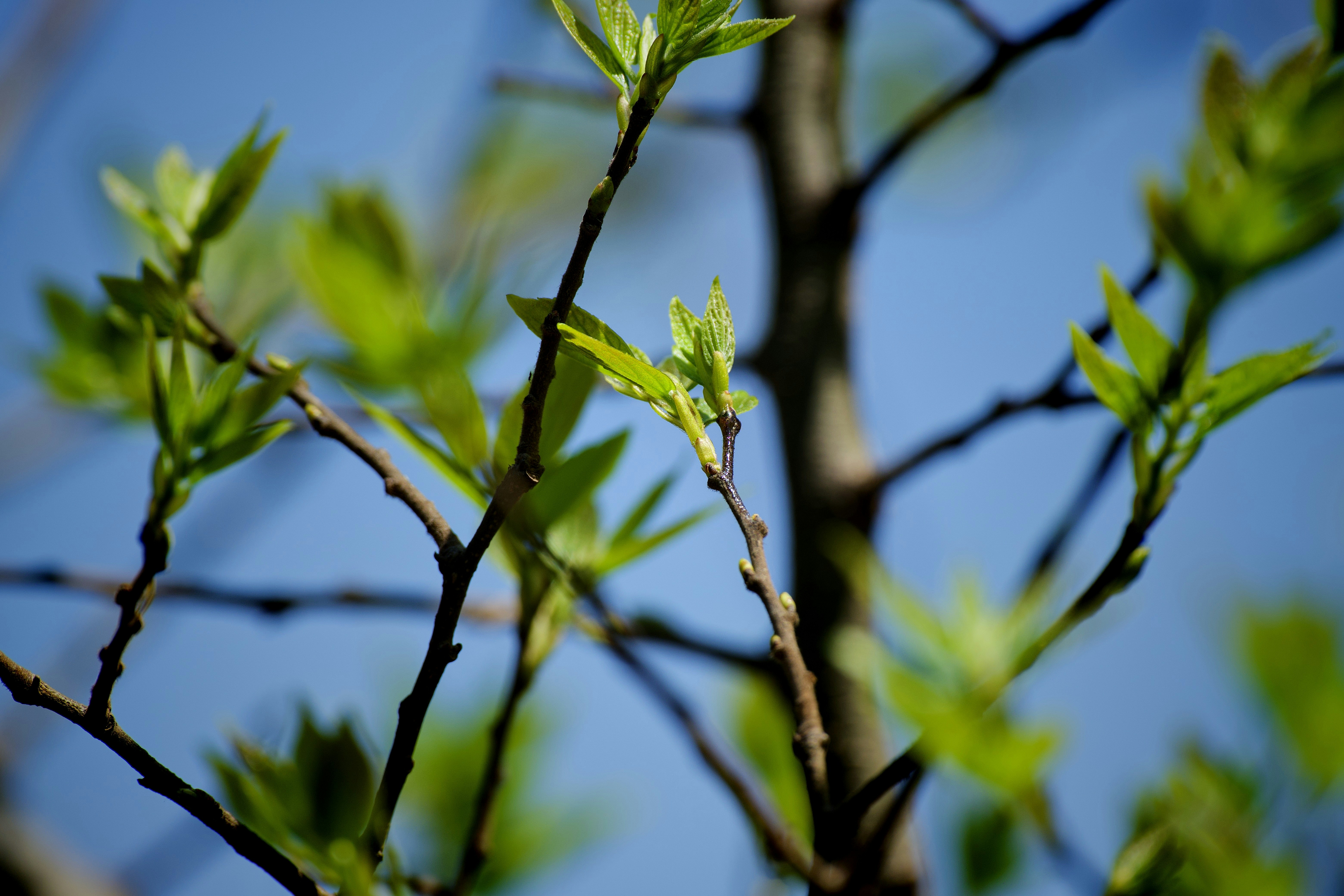 Photo by ishootiniphone