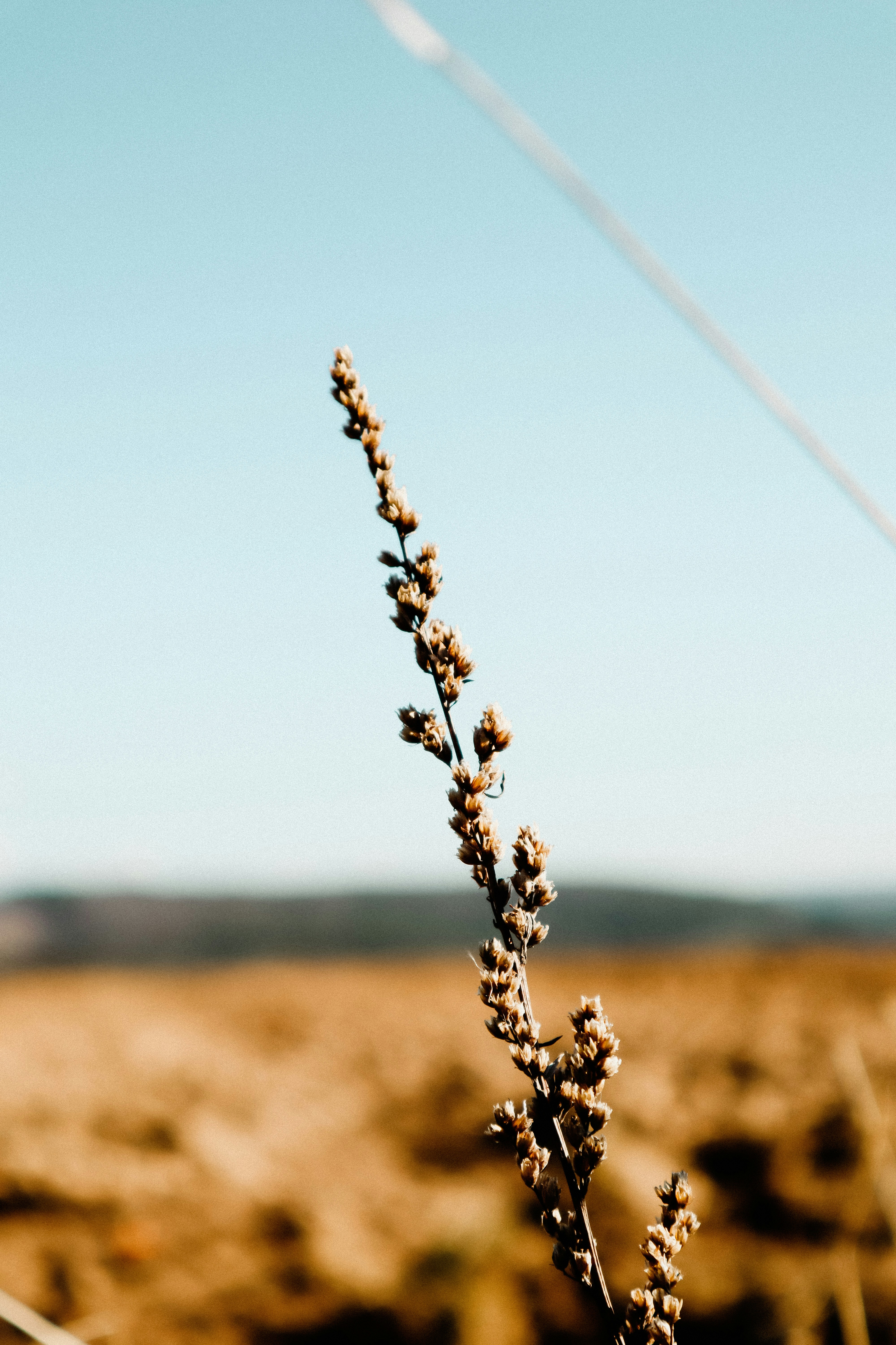 minimalist wallpaper 4k, wallpaper, Ultra HD Wallpapers: Elevate Your Digital Aesthetic 3