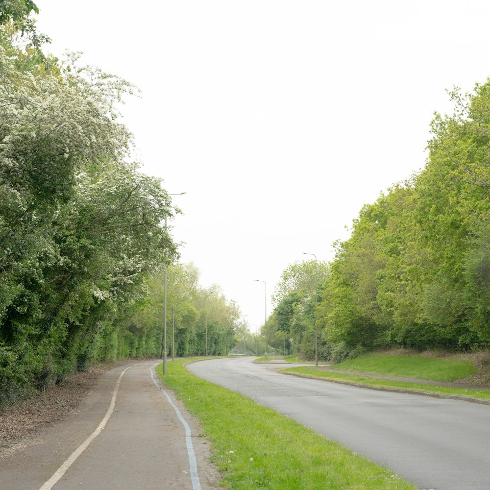 a road with a curve in the middle of it