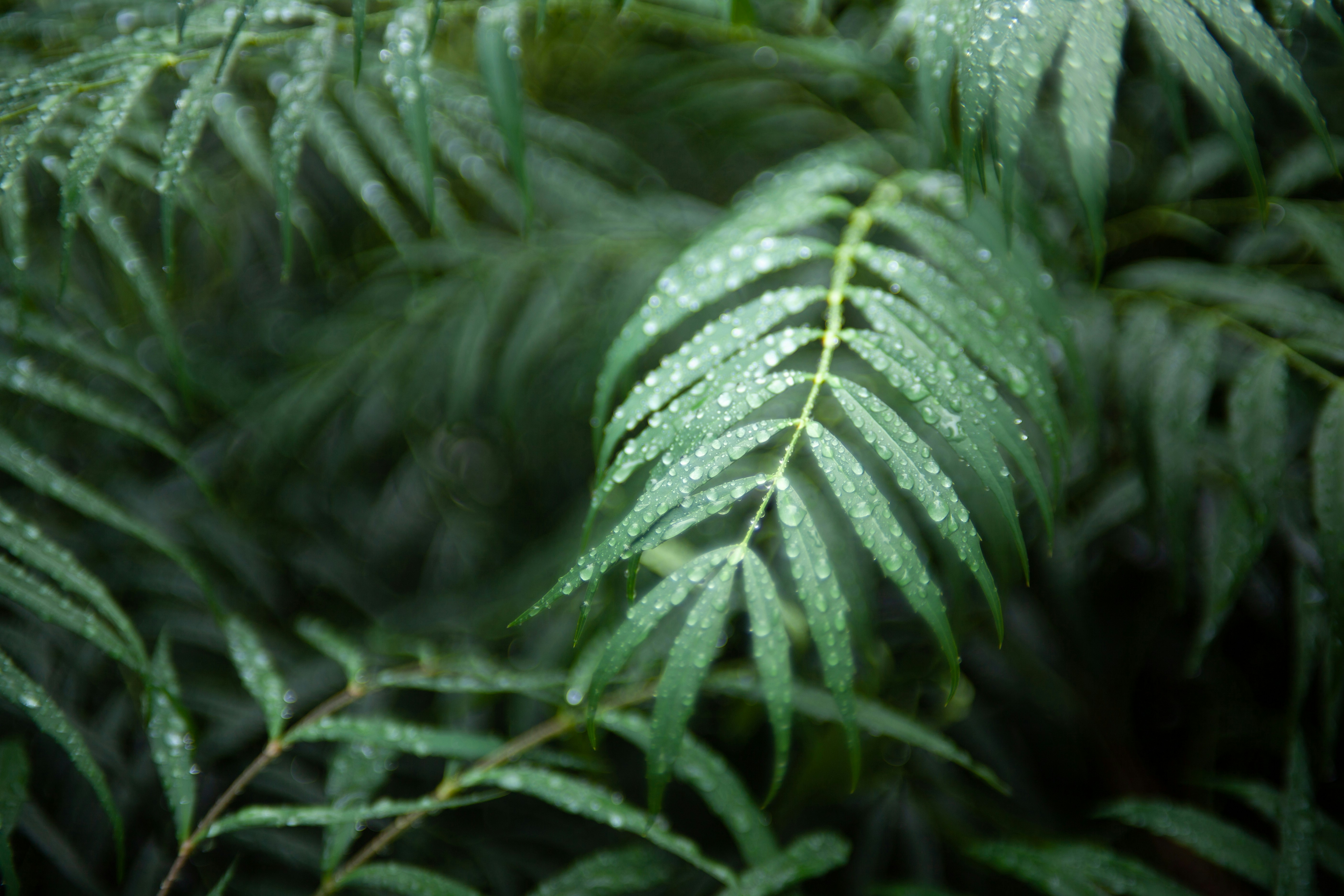 Photo by takatsuchida