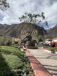 a building with a tree in front of it