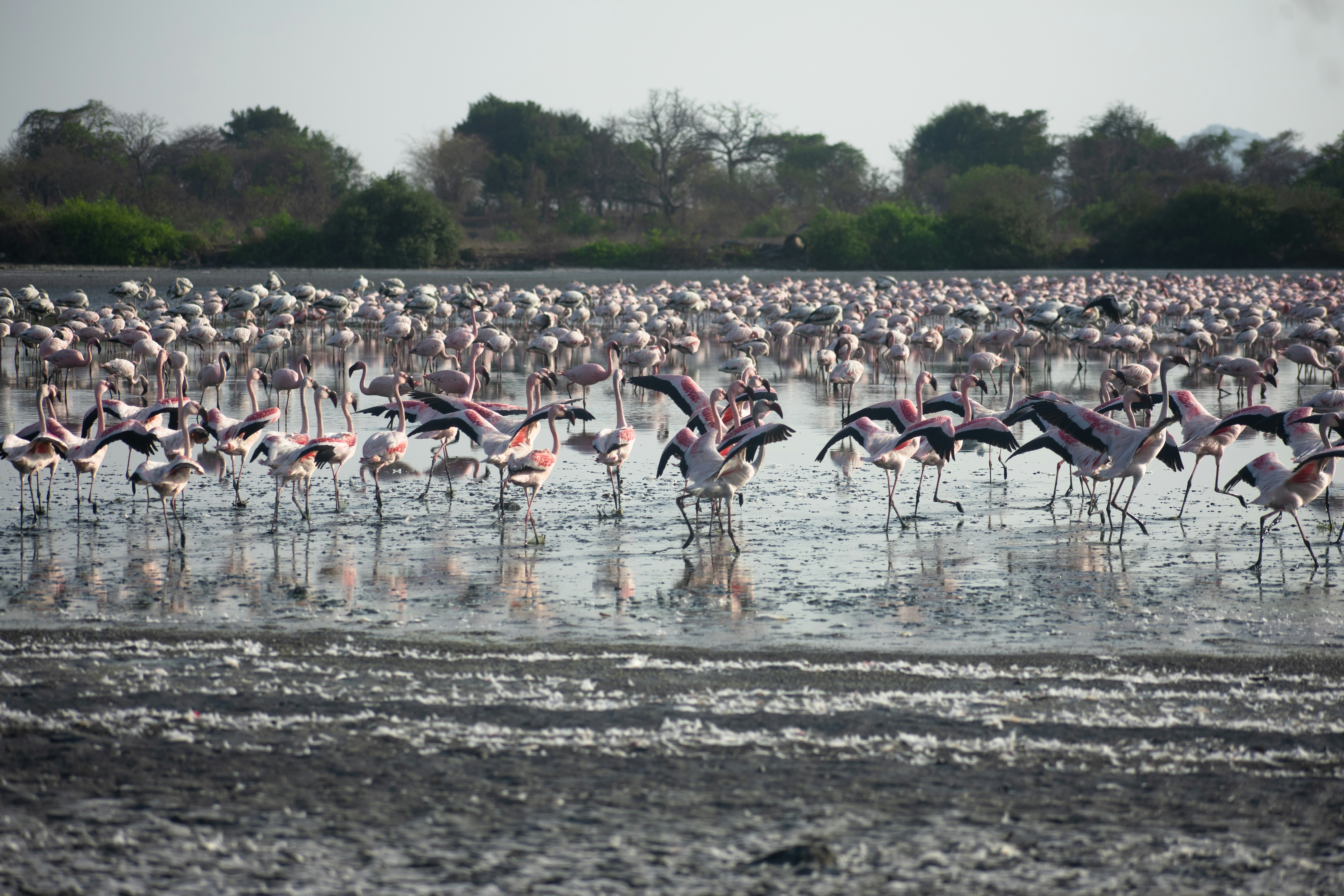Photo by shoummosengupta