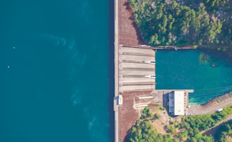 An aerial view of a large dam situated between a vast body of water and a lush forest. The structure of the dam includes spillways and a building at one end. The forested area is dense with green trees.
