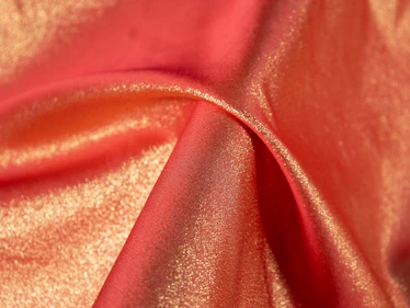Close-up of a rich red silk saree with intricate gold zari work.