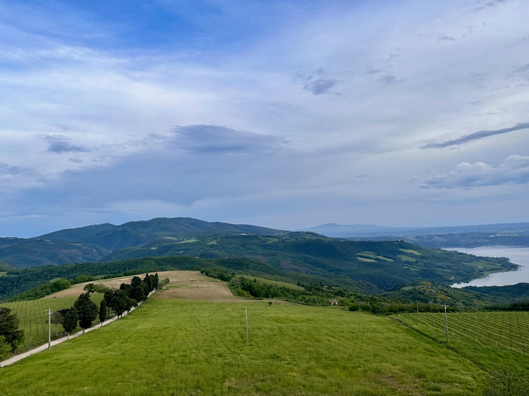 a grassy field with a lake in the distance,