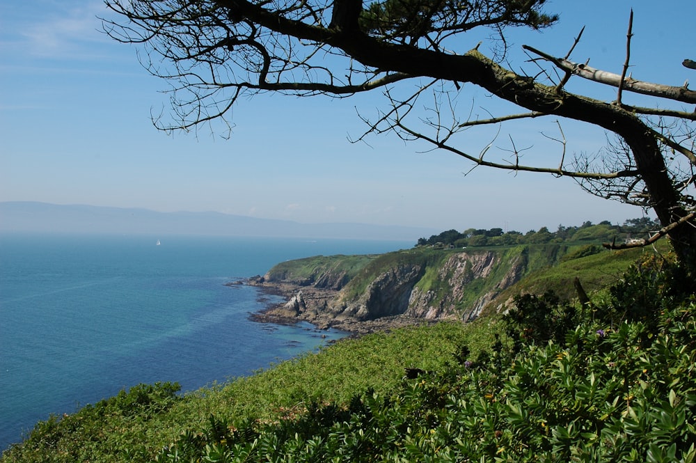 a view of the ocean from a hill