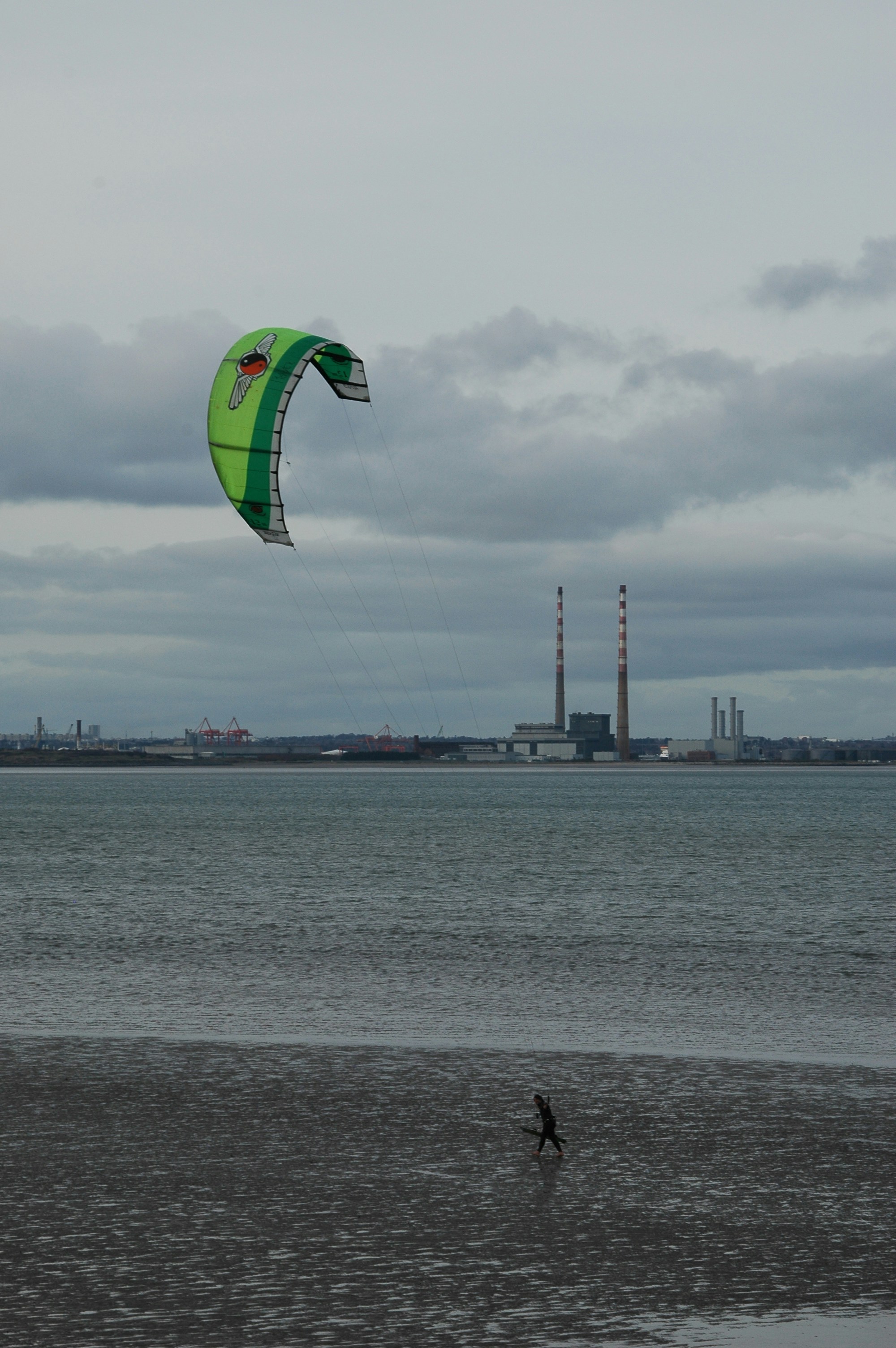 a person is flying a kite on the beach