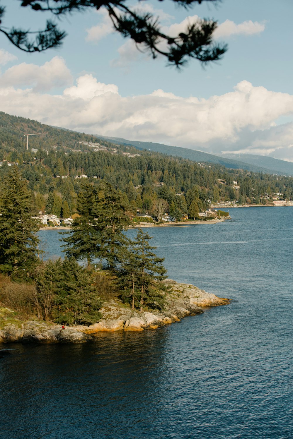 a large body of water surrounded by trees