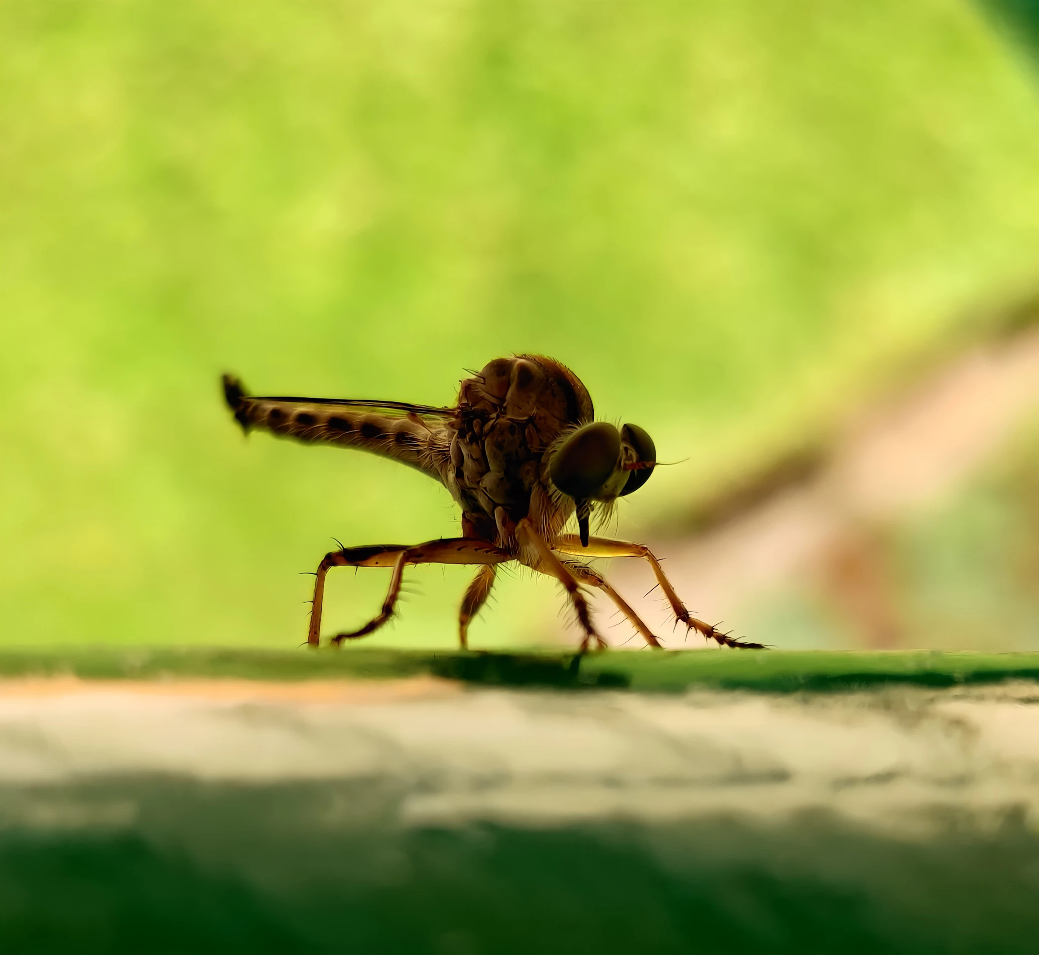 Why Do Mosquitoes Bite Me More Than Others? The Science of Attraction