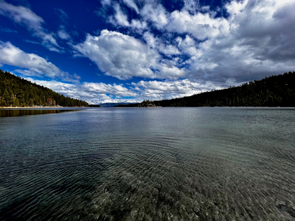 a large body of water surrounded by forest