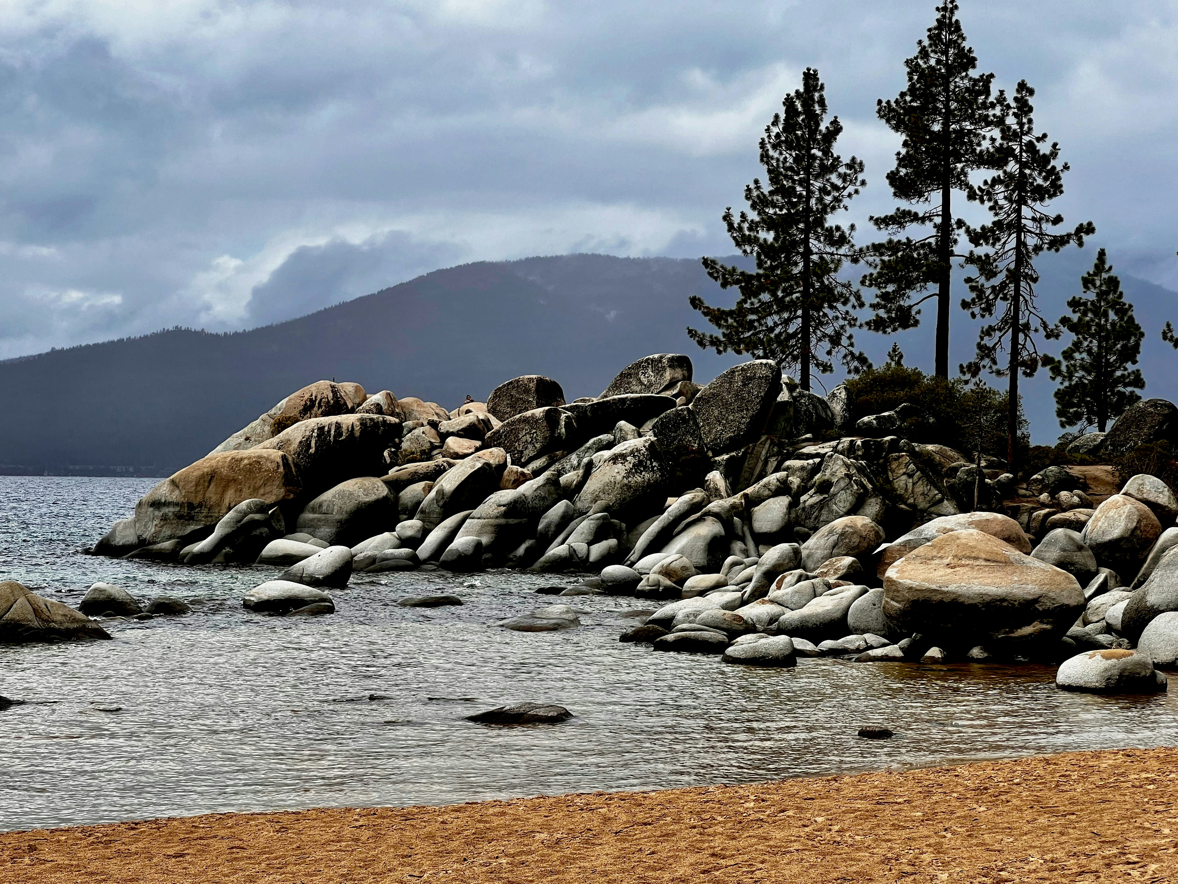 a rocky beach with trees and water in the background