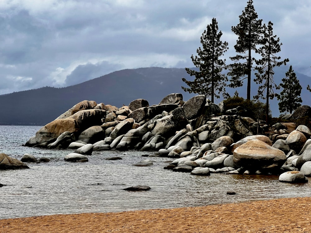 a rocky beach with trees and water in the background