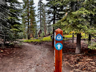 a wooden sign pointing to a trail in the woods