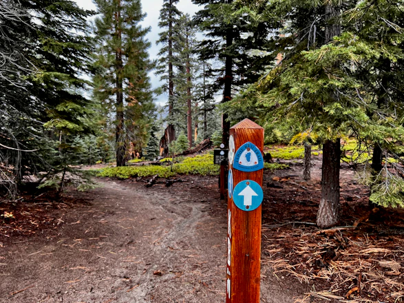a wooden sign pointing to a trail in the woods