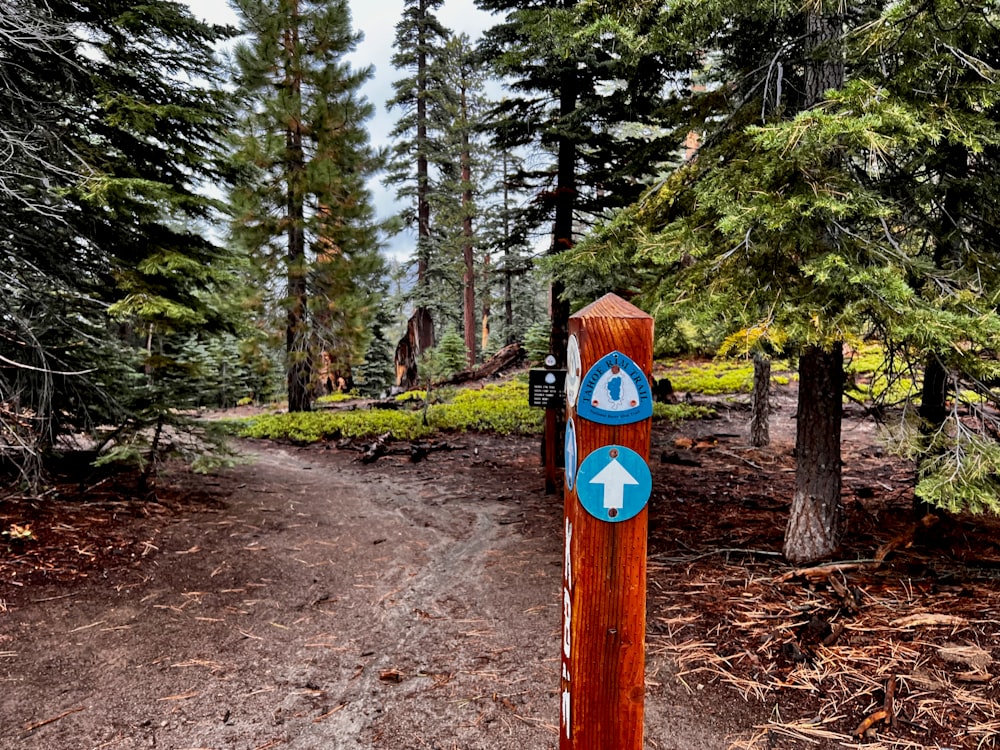 a wooden sign pointing to a trail in the woods