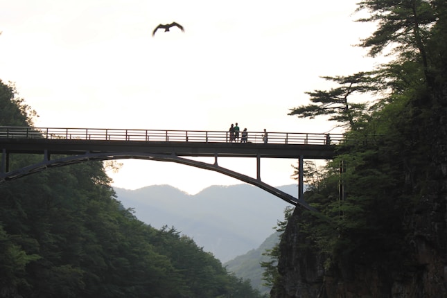 A bridge spans across a gorge with a group of people standing on it. A bird is flying above the bridge against a backdrop of mountains and a cloudy sky. The scene is surrounded by lush, green trees.
