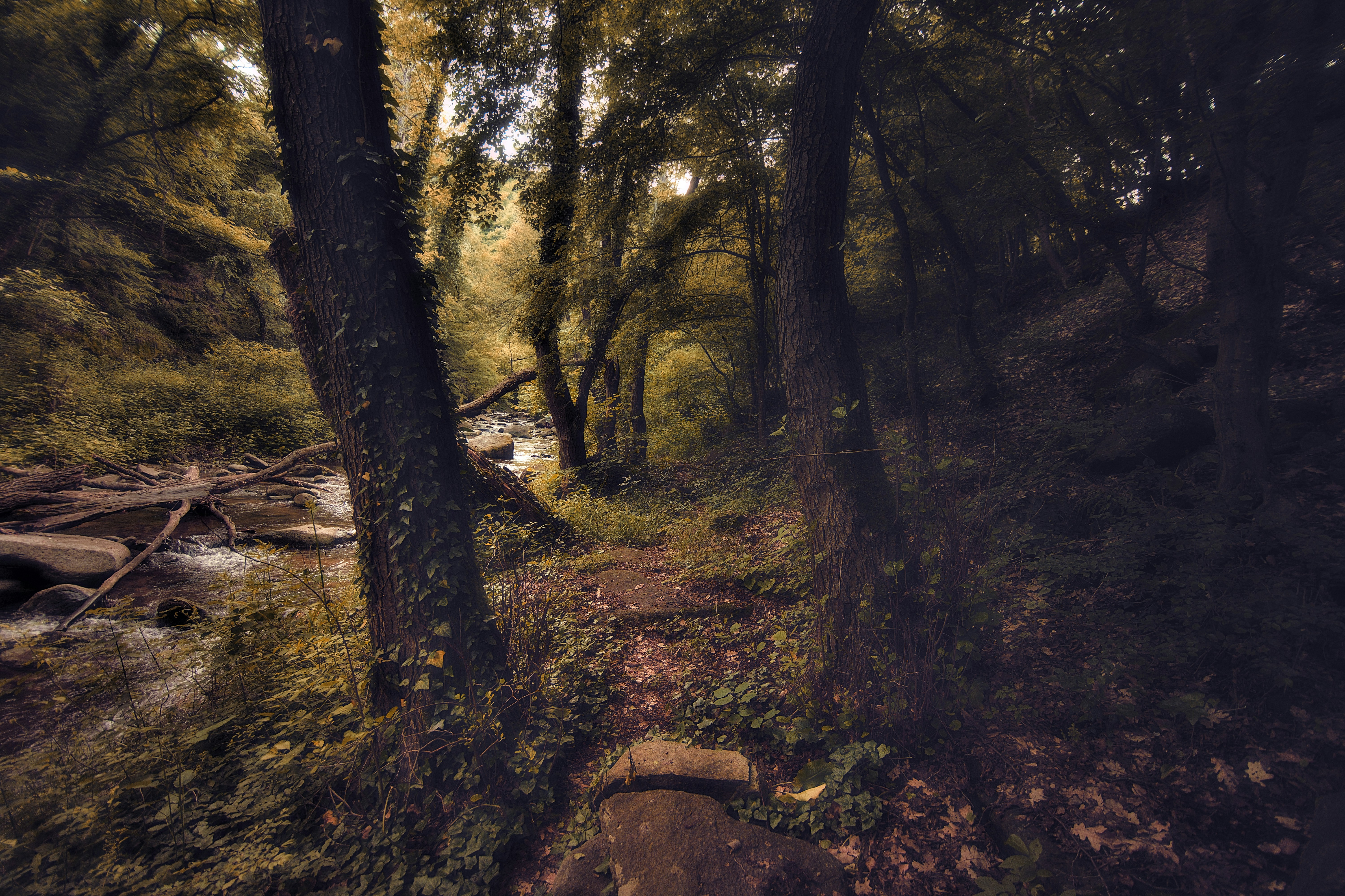 Photo by blooddrainer