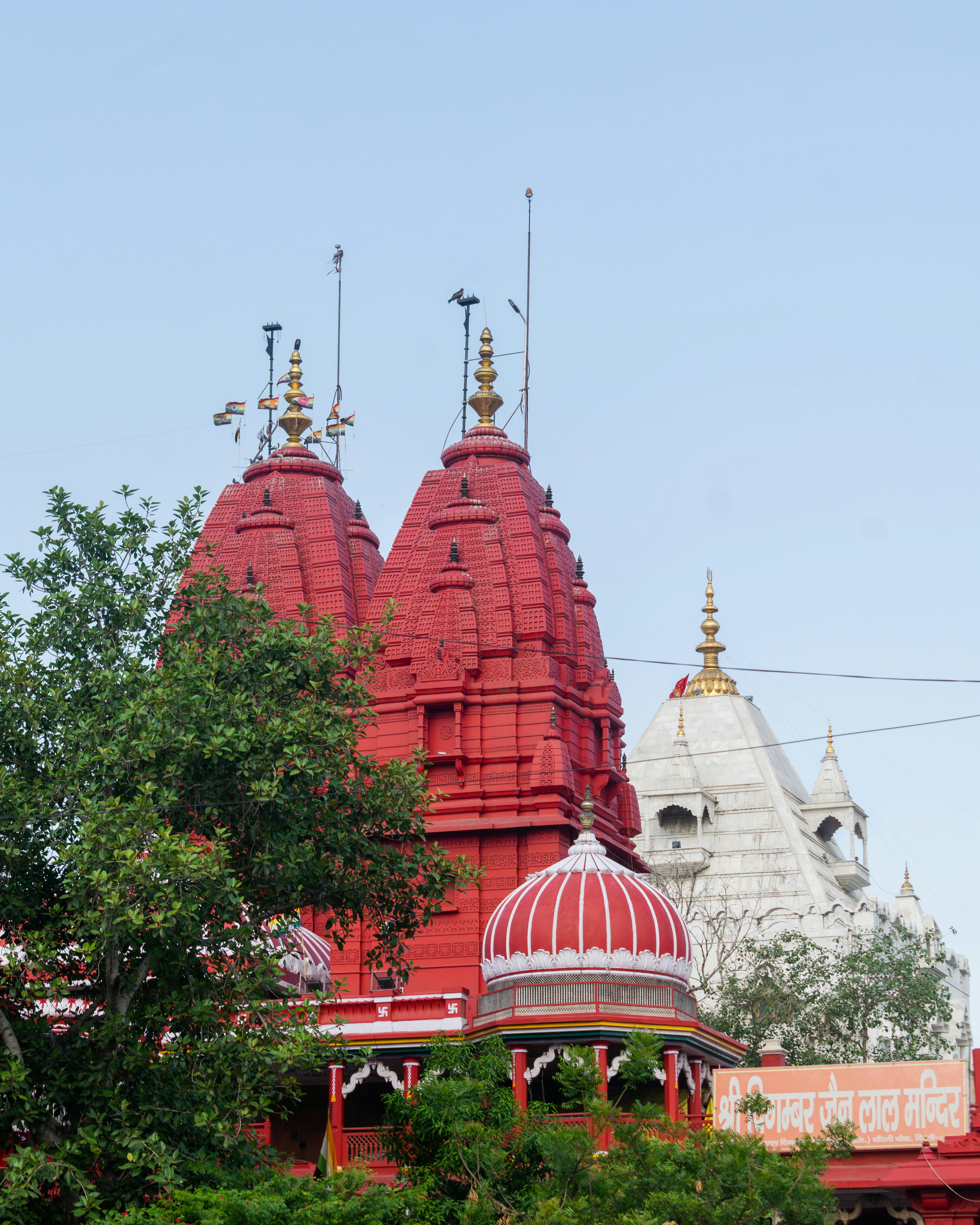 Photo by pramodtiwari