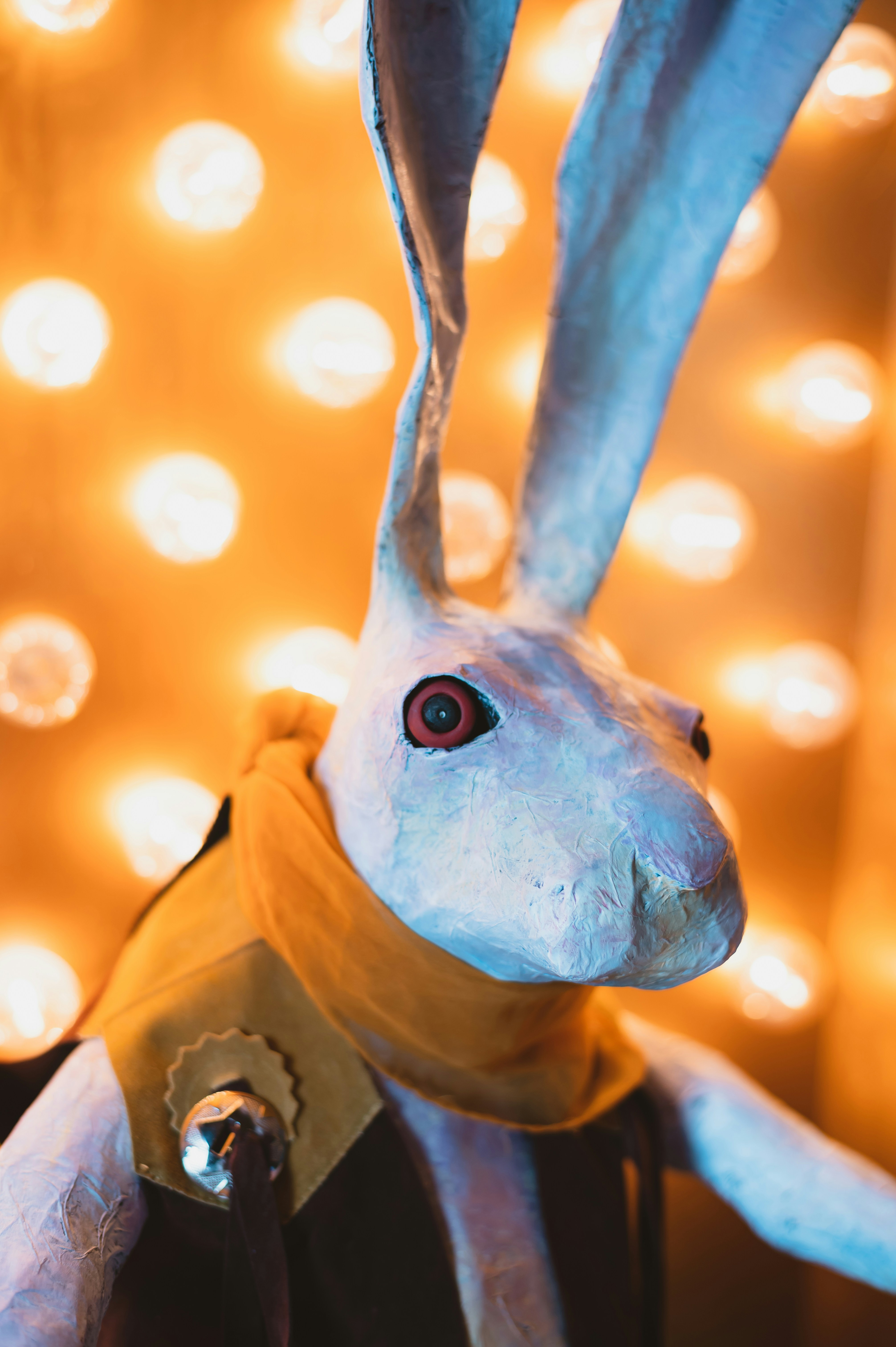 Photo by coltonsturgeon