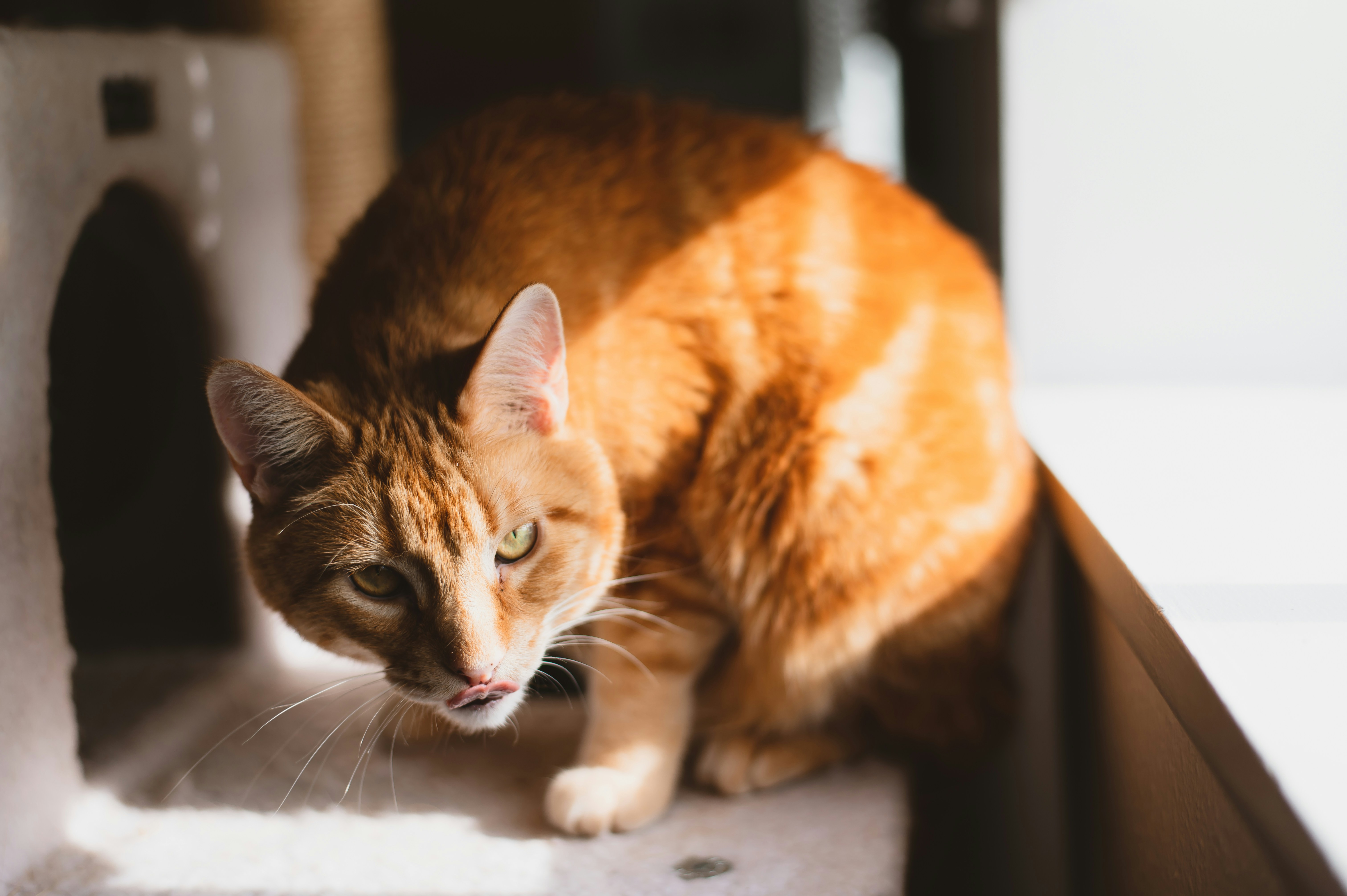 Photo by coltonsturgeon