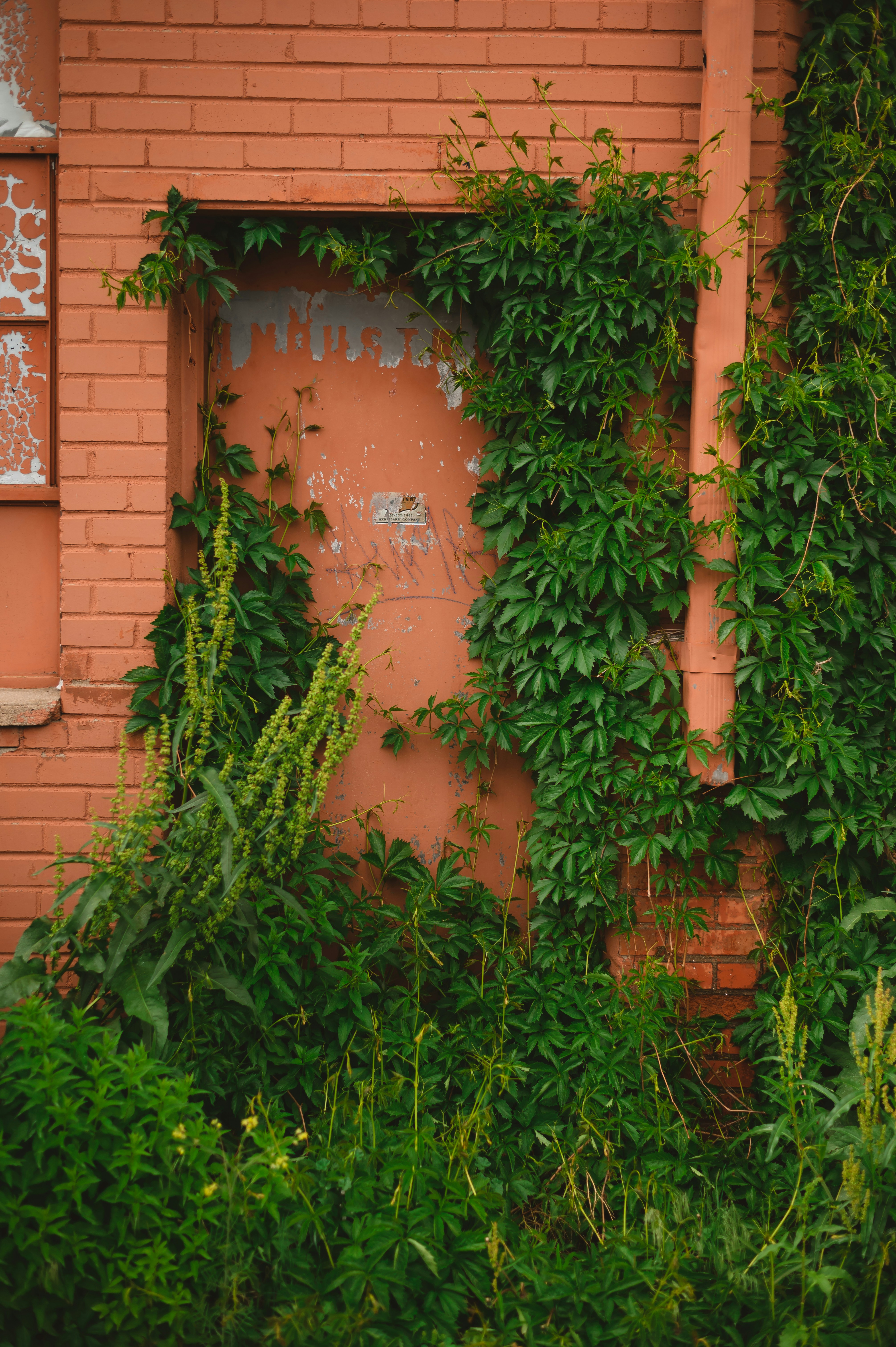 Photo by coltonsturgeon