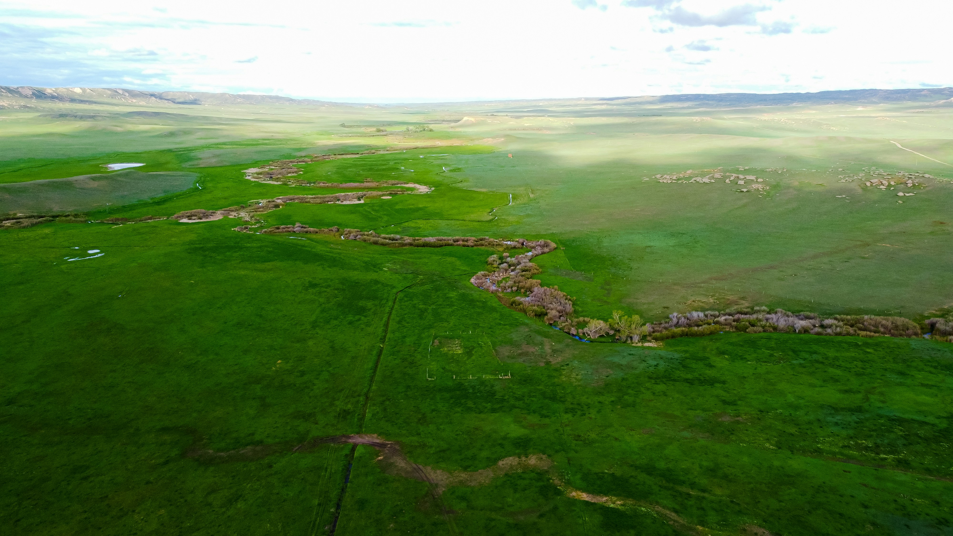 Photo by coltonsturgeon