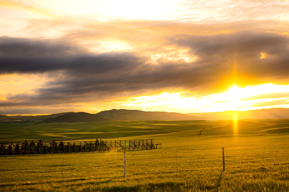 the sun is setting over a field of grass