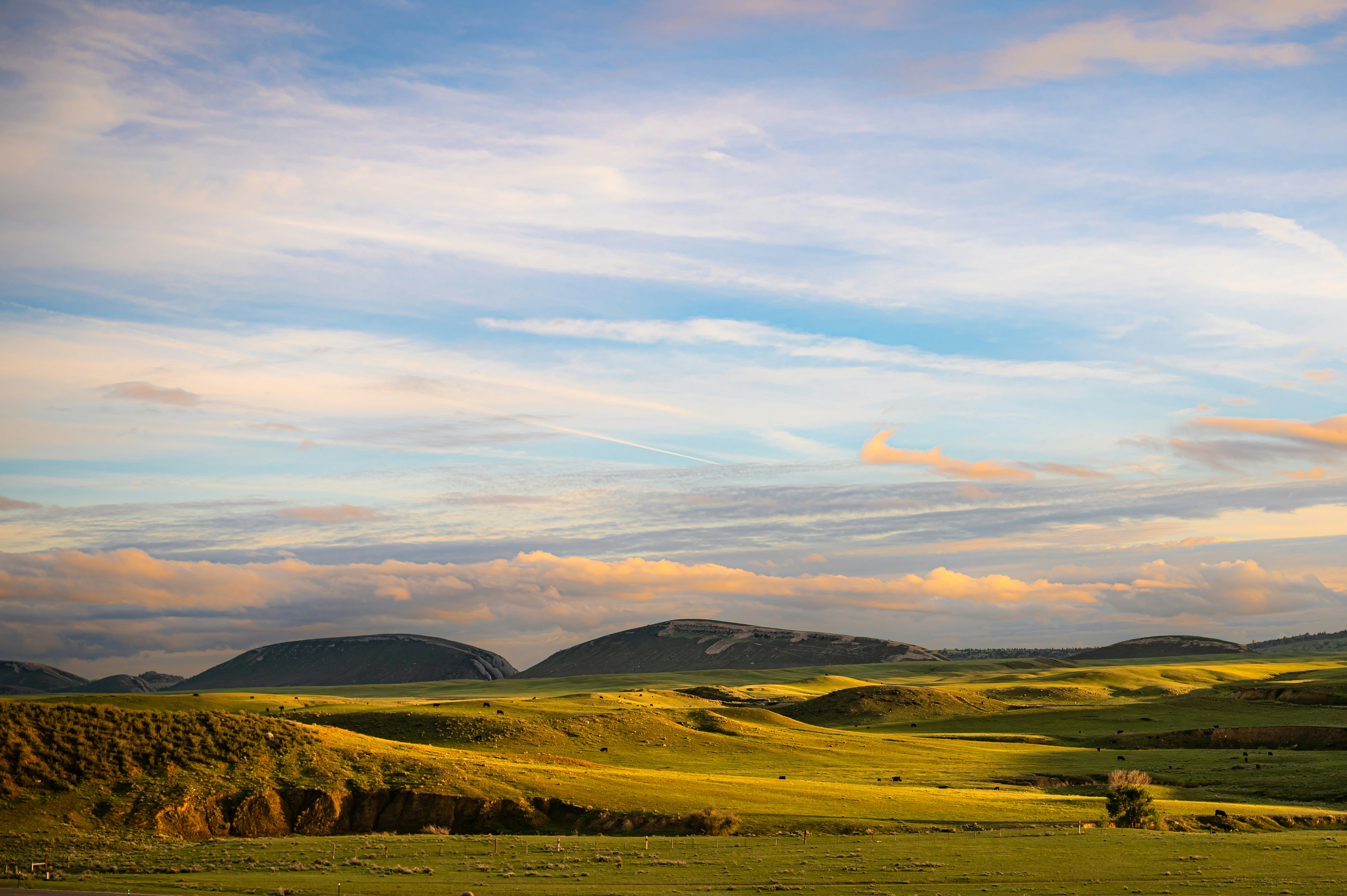 Photo by coltonsturgeon